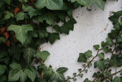 Beton und Natur Beton und Natur