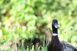 Was guckst DU Was guckst DU