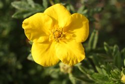 Licht und Schatten Licht und Schatten